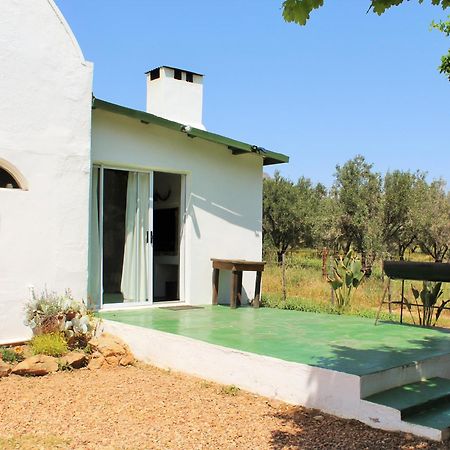 Blue Cow Barn - Boutique Farm Vendégház Barrydale Kültér fotó