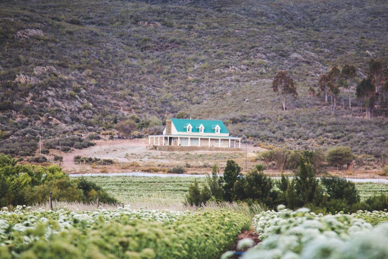 Blue Cow Barn - Boutique Farm Vendégház Barrydale Kültér fotó