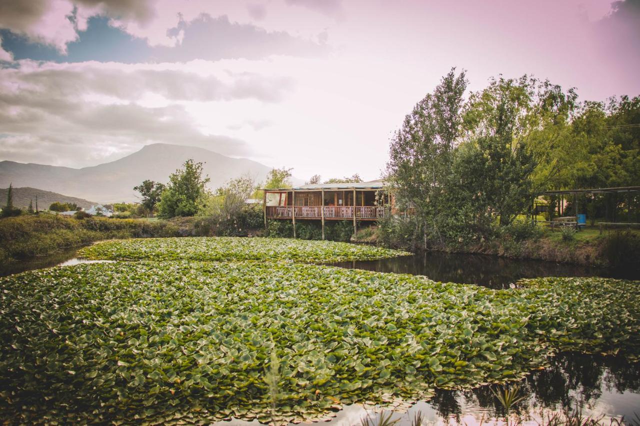 Blue Cow Barn - Boutique Farm Vendégház Barrydale Kültér fotó