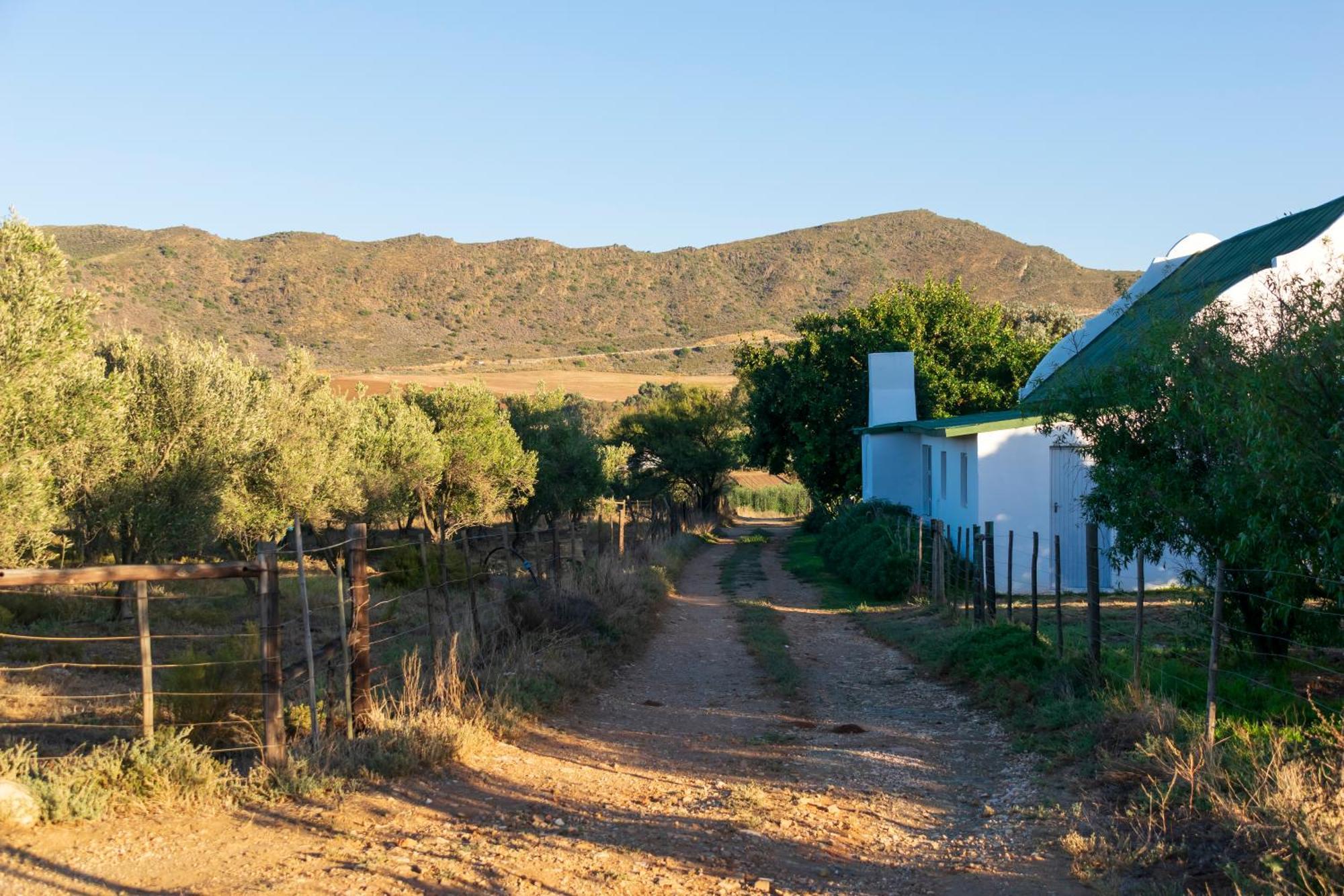 Blue Cow Barn - Boutique Farm Vendégház Barrydale Kültér fotó